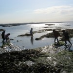 Classe de mer 1er jour 4