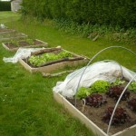 A l'école Belcinac, les enfants jardinnent