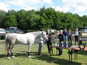 SL20 Endurance équestre du 6 juillet 2014  Vatteville-la-Rue