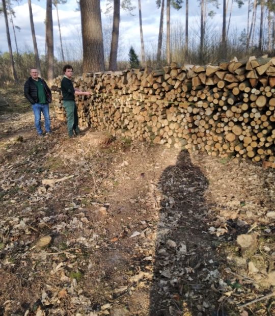 coupe de bois 2022