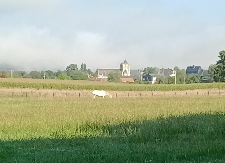 de l'orée à l'église